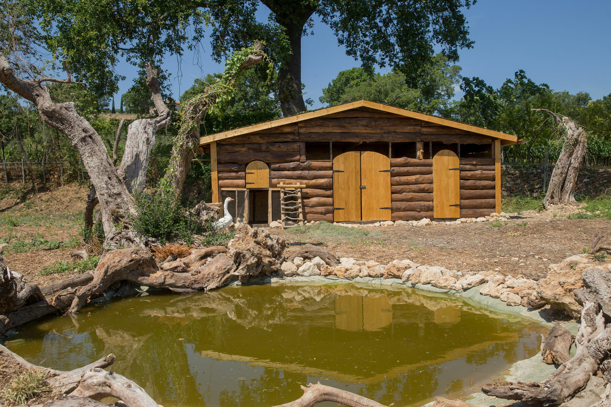 Agriturismo Le Anfore Sarteano Exterior foto